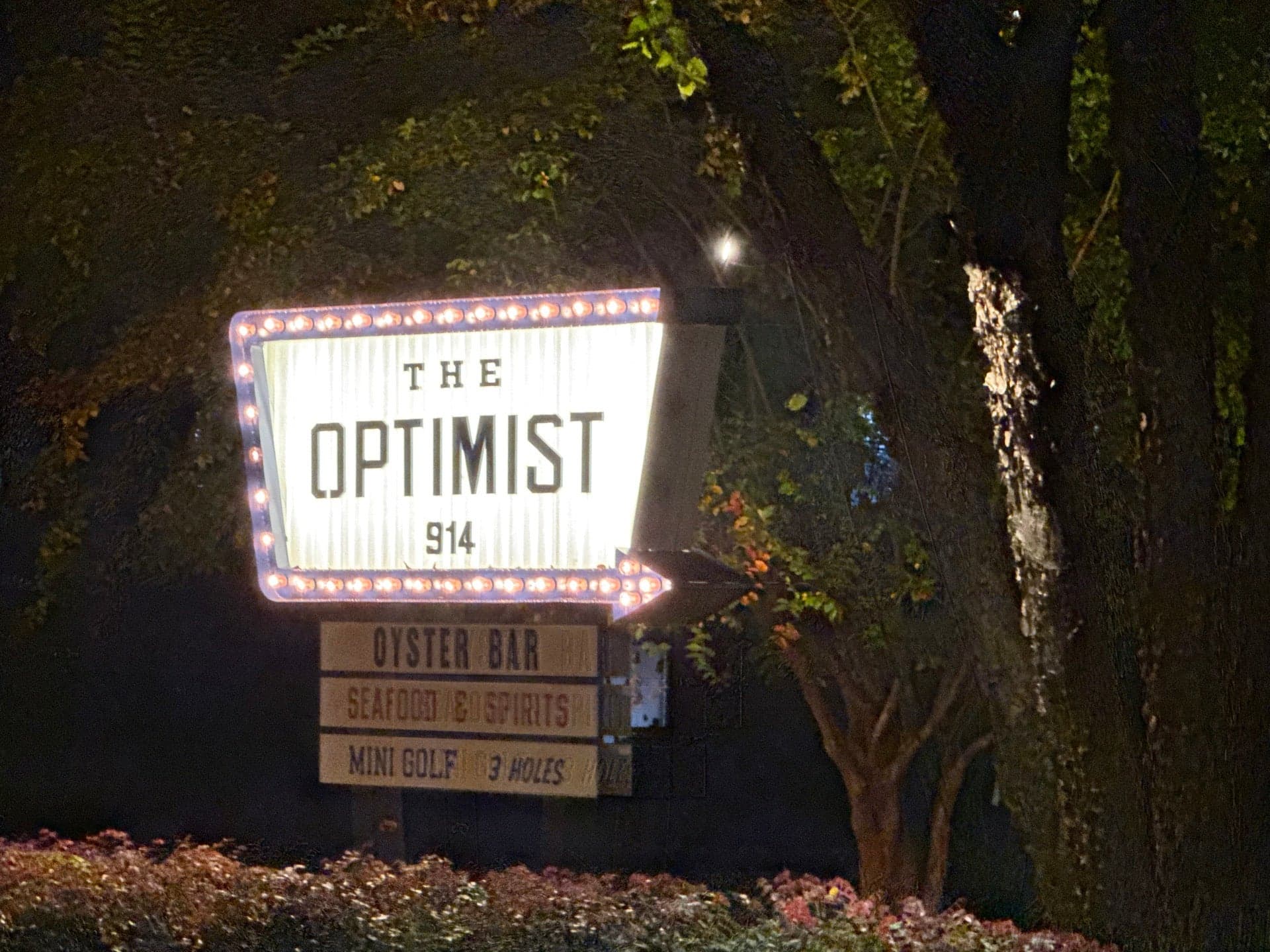 Photo of The Optimist